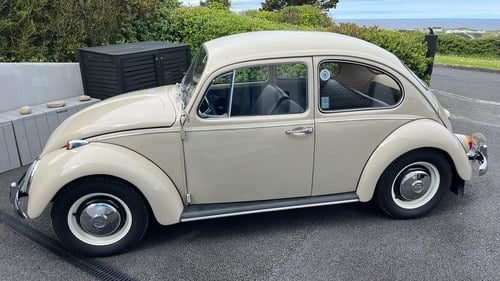 1966 Volkswagen Beetle