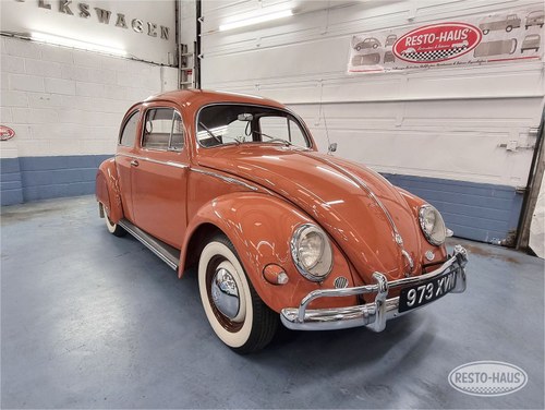 1957 '57 Stunning Oval Beetle In vendita