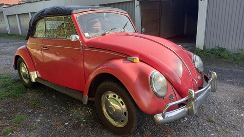 VOLKSWAGEN Coccinelle cabriolet - 1967 Kaufen Bei