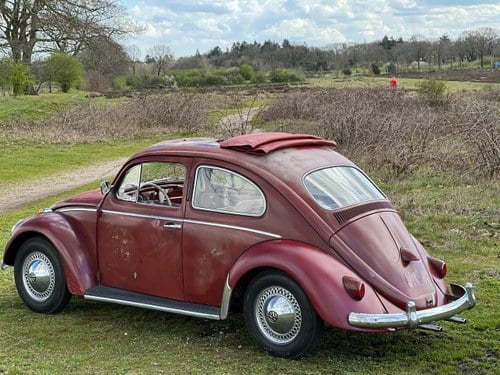 VOLKSWAGEN Coccinelle - 1959 Kaufen Bei