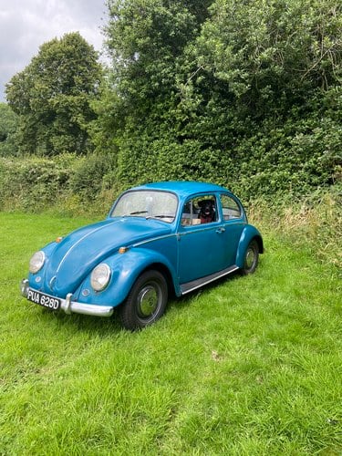 1966 Volkswagen Beetle