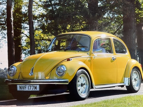 1973 Volkswagen Beetle 1303