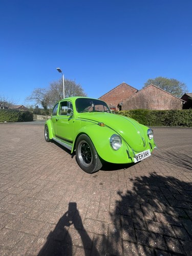 1969 Volkswagen Beetle Square Window 1600