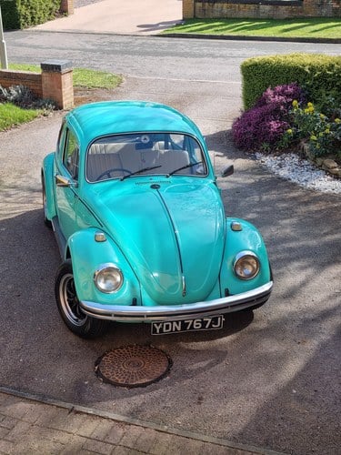 1971 Volkswagen Beetle Square Window 1600