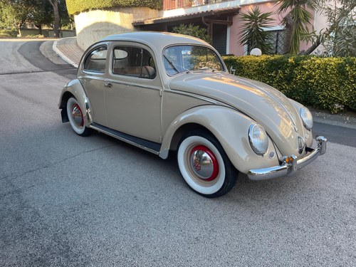 1953 Volkswagen Beetle Oval Window Impeccable!