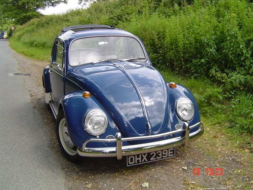 1967 Volkswagen Beetle Square Window 1300