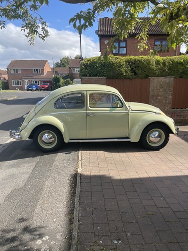 1961 Volkswagen Beetle Square Window 1200