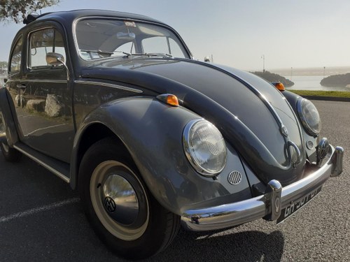 1962 Volkswagen Coccinelle Cabriolet Kaufen Bei