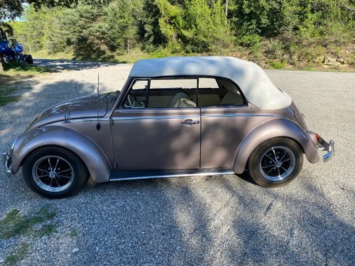 1967 VOLKSWAGEN Coccinelle Cabriolet Kaufen Bei