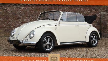 Volkswagen Beetle Square Window