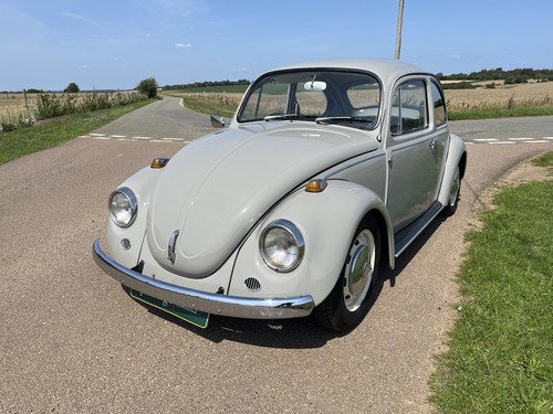 1968 BEETLE Te koop