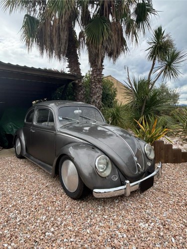 1961 VOLKSWAGEN Coccinelle For Sale