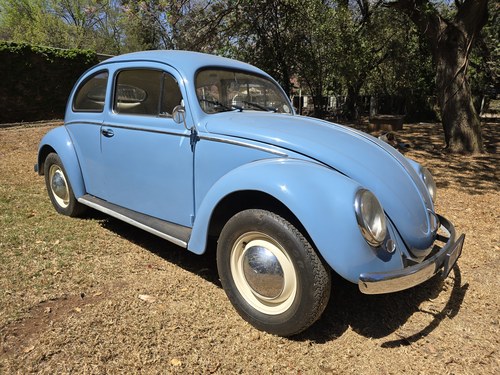 1956 Volkswagen Beetle Oval Window