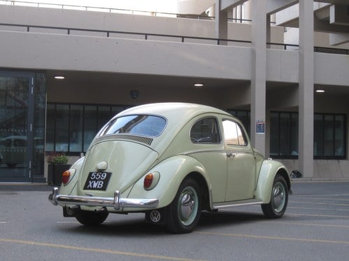 1962 Volkswagen Beetle Square Window 1200