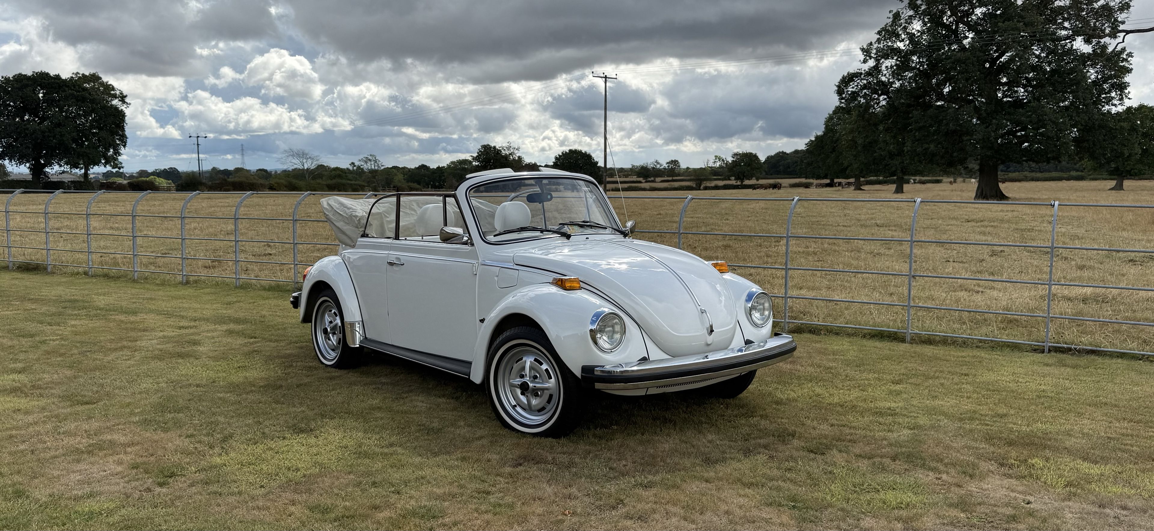 1979 Volkswagen Beetle 1303