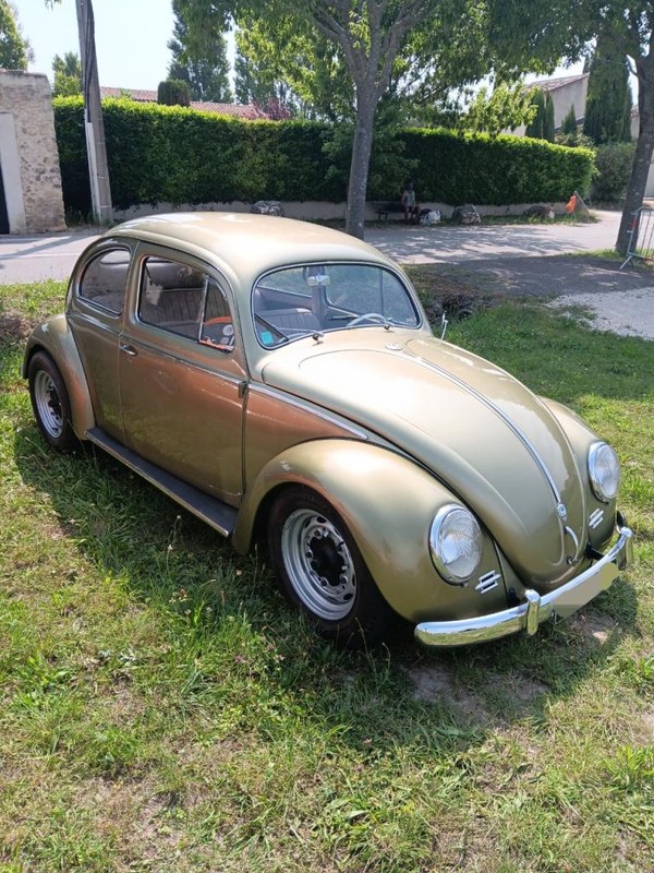 1956 Volkswagen Beetle - 1 1956 Volkswagen Beetle - 1