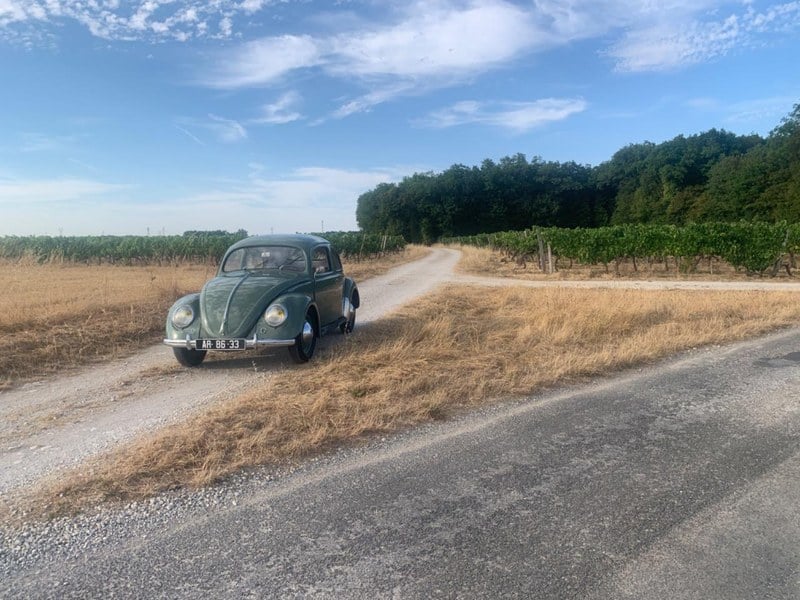 1950 Volkswagen Maggiolino - 1 1950 Volkswagen Maggiolino - 1