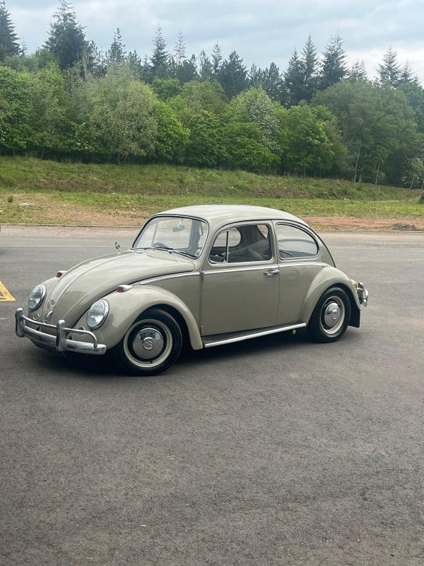 1965 Volkswagen Beetle - 1 1965 Volkswagen Beetle - 1
