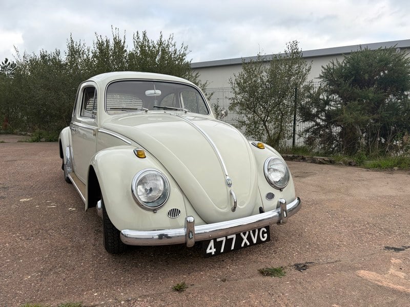 1961 Volkswagen Beetle - 2 1961 Volkswagen Beetle - 2