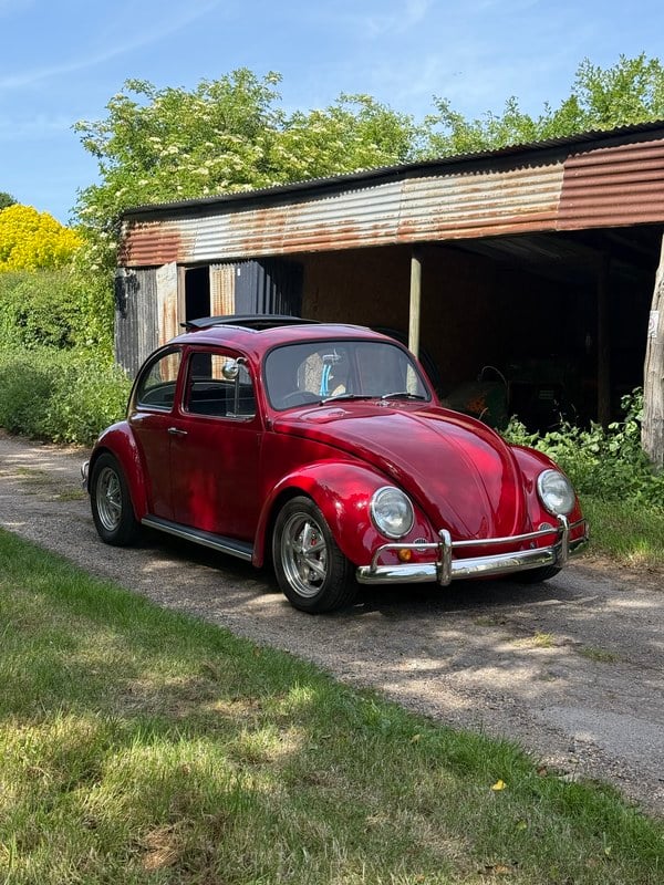 1966 Volkswagen Beetle - 1 1966 Volkswagen Beetle - 1