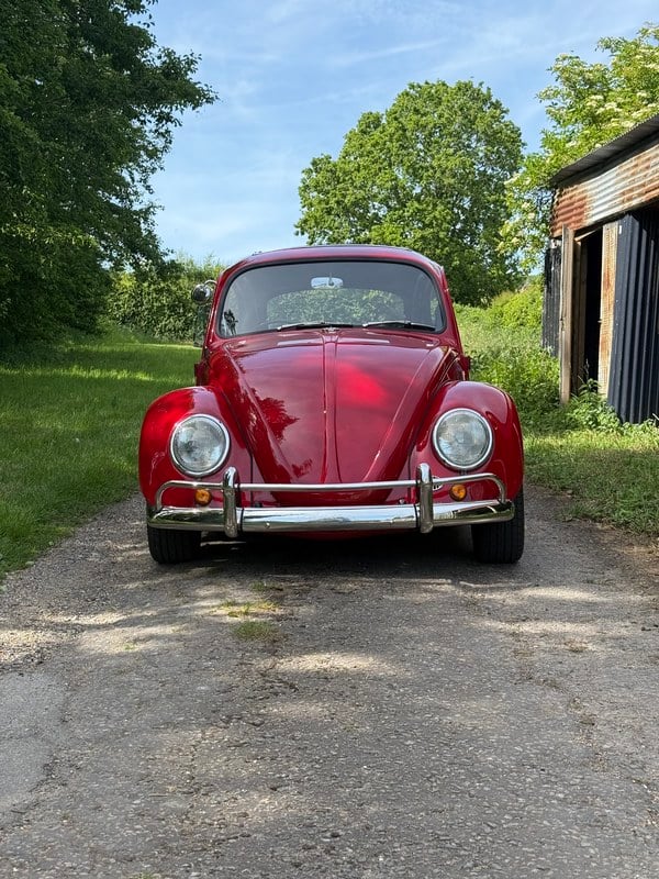 1966 Volkswagen Beetle - 2 1966 Volkswagen Beetle - 2