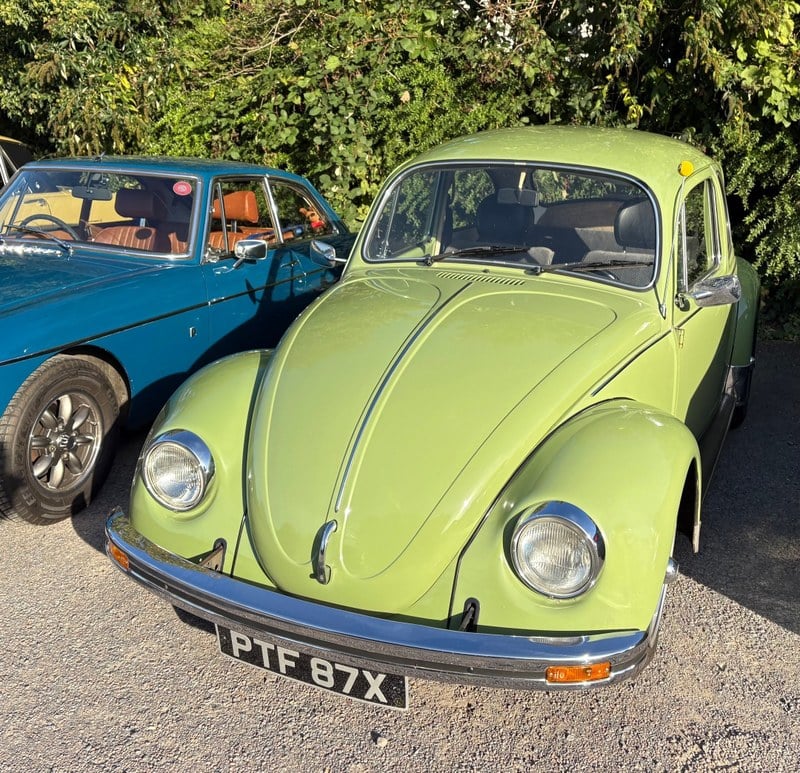 1981 Volkswagen Beetle - 1 1981 Volkswagen Beetle - 1