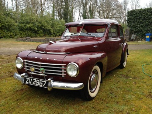 1954 Volvo PV 444 For Sale