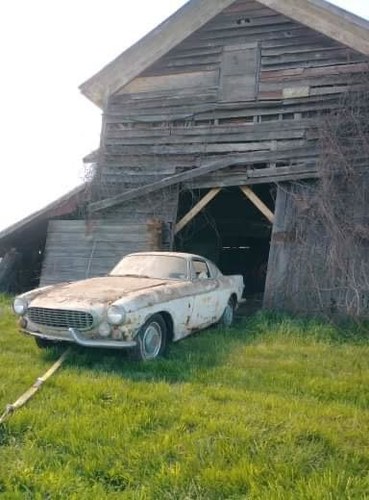 1964 Volvo P1800 true Barn find, excellent find! À venda