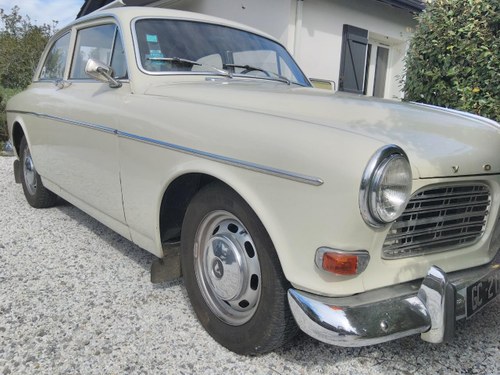 VOLVO Amazon - 1966 Kaufen Bei