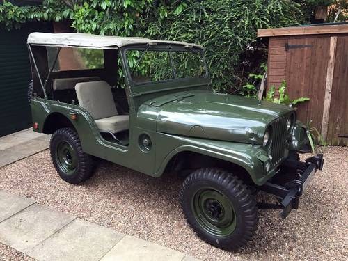 1955 JEEP Willys In vendita