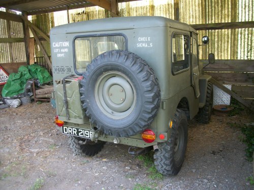 1964 willys jeep cj3b VENDUTO