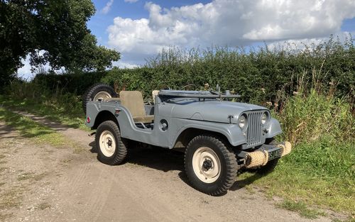 1960 Willys M38A1 Jeep (picture 1 of 14)
