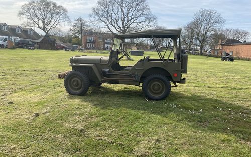1943 Willys MB (picture 1 of 8)