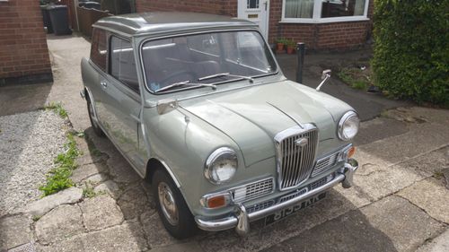 Picture of Wolseley Hornet