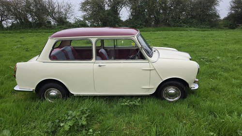 1962 Wolseley Hornet 850 VERKOCHT