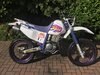 Yamaha TTR250 1995 For Sale