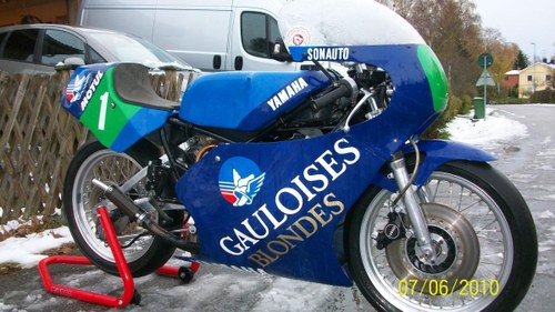 TZ 250 1982 original YAMAHA FRANCE rider Vecchioni For Sale