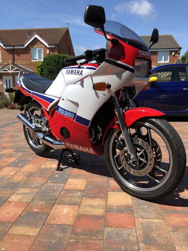 1986 Yamaha Rd350 ypvs F1  non matching numbers For Sale