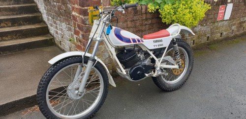1973 Yamaha TY250 For Sale by Auction