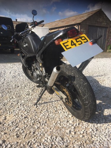 1988 Yamaha TDR 250 For Sale