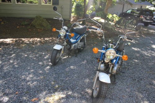 1980 Yamaha Chappy Scooters For Sale by Auction