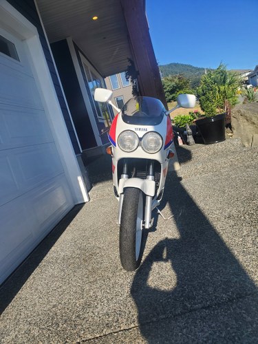 1988 FZR250 gray market bike For Sale