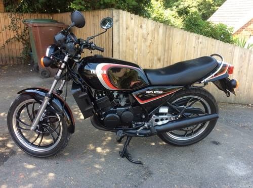 1982 Yamaha RD250LC Kaufen Bei