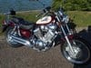 1999 Yamaha Virago XV535DX. Immaculate, Sorry Now Sold  SOLD