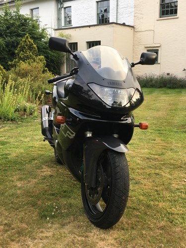 1998 Yamaha ThunderCat For Sale