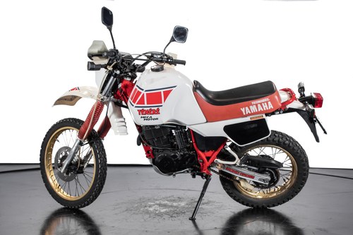 1984 YAMAHA TÉNERÉ XT 600 Z In vendita