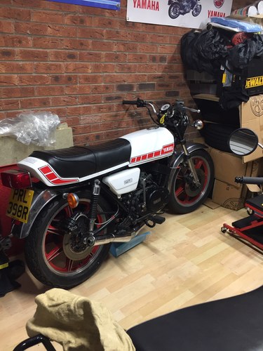 1977 RD 250D For Sale