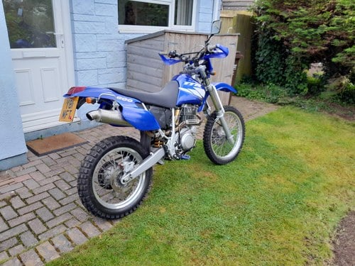 2001 Yamaha TTR600, TT600R VERKAUFT