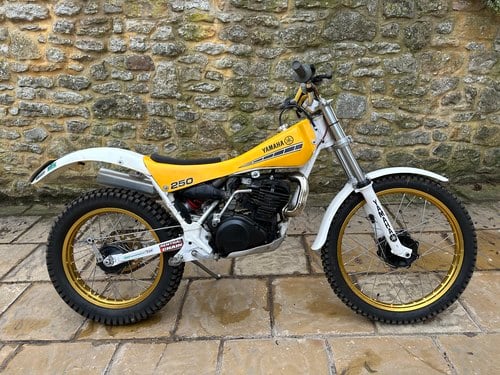 1984 Yamaha TY 250 For Sale by Auction
