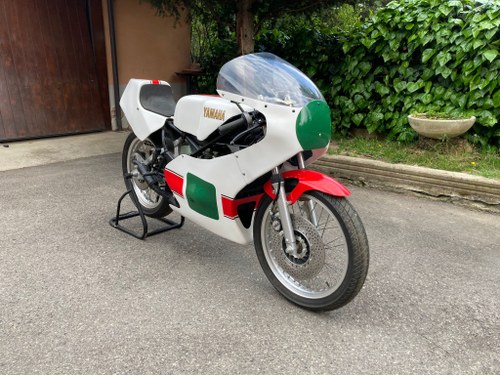 1982 Yamaha TZ 250 For Sale